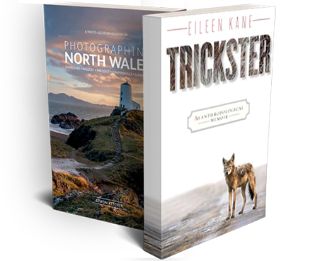 The Book Publishing Zone